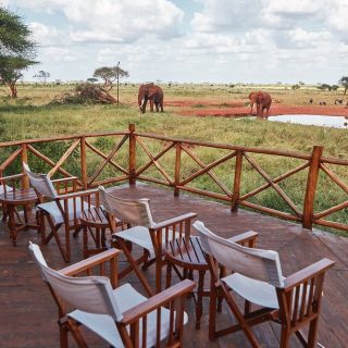Ngutuni Safari Lodge Balcony View
