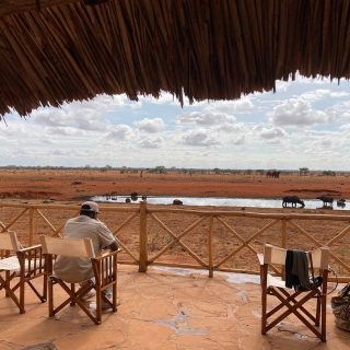 Ngutuni wildlife sanctuary safari