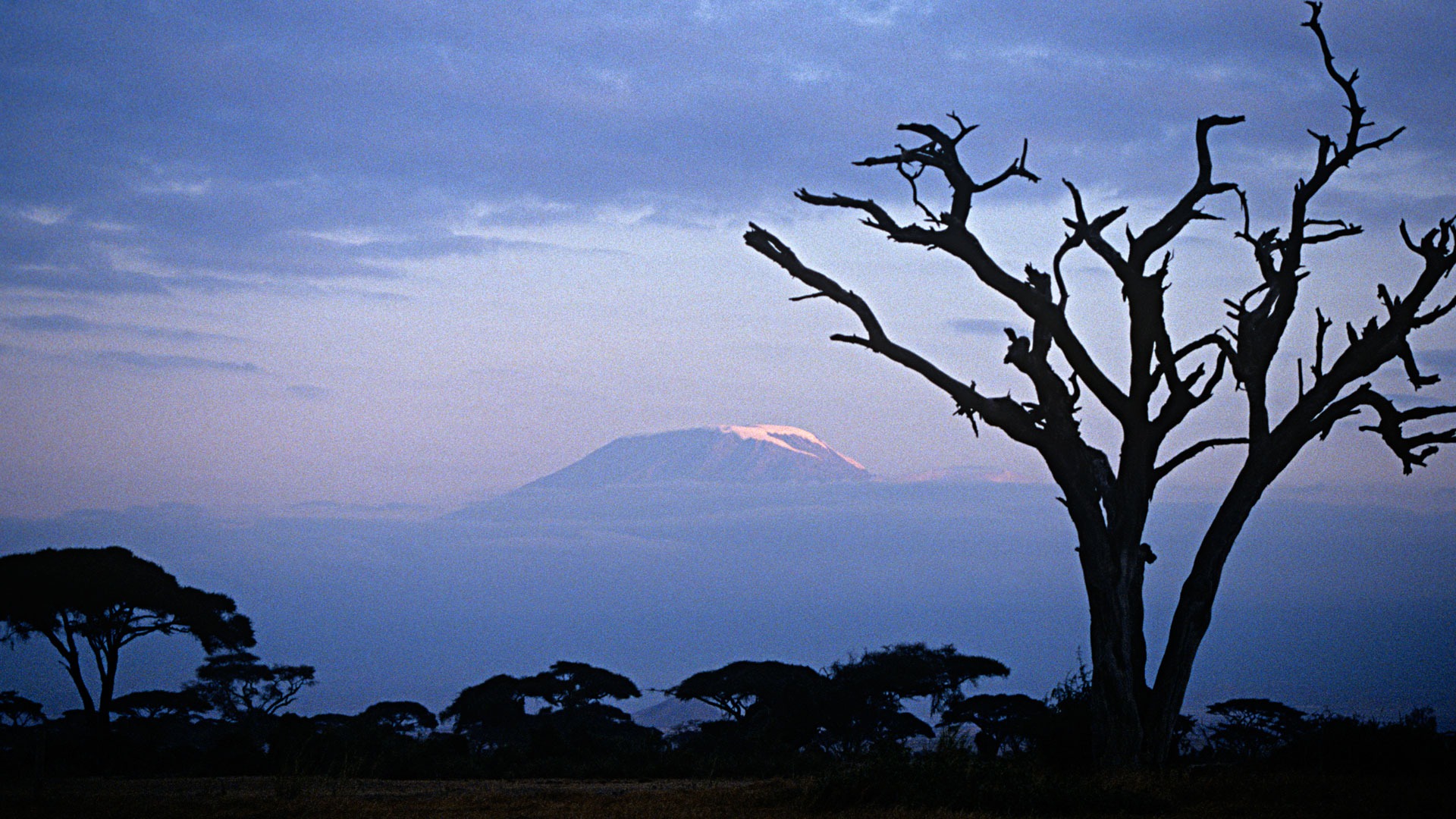 Planning_a_Kenya_Amboseli_Safari_With_Nova_Afrika_Kenya_Safaris