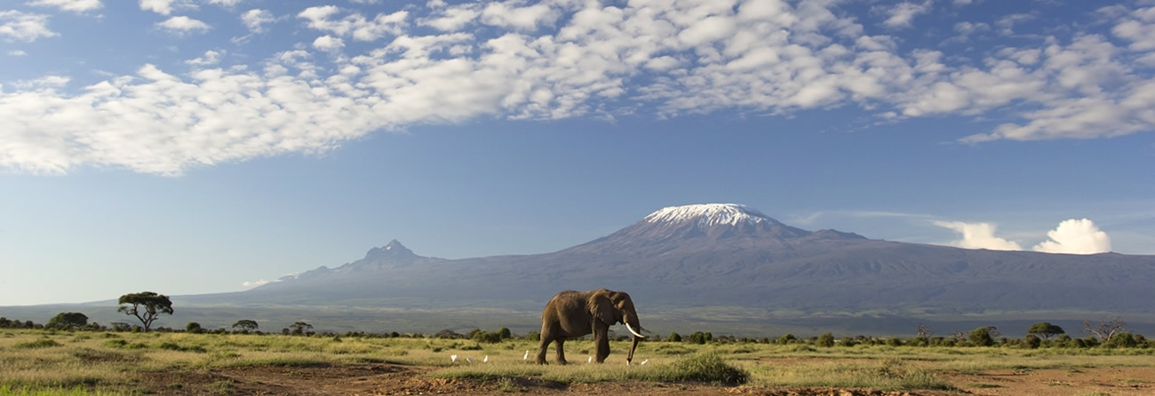 Mount Kilimanjaro Amboseli Fying Safari Package with Nova Afrika Kenya Safaris