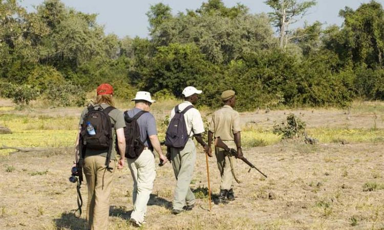 Walking Safari in Tanzania Lake Manyara