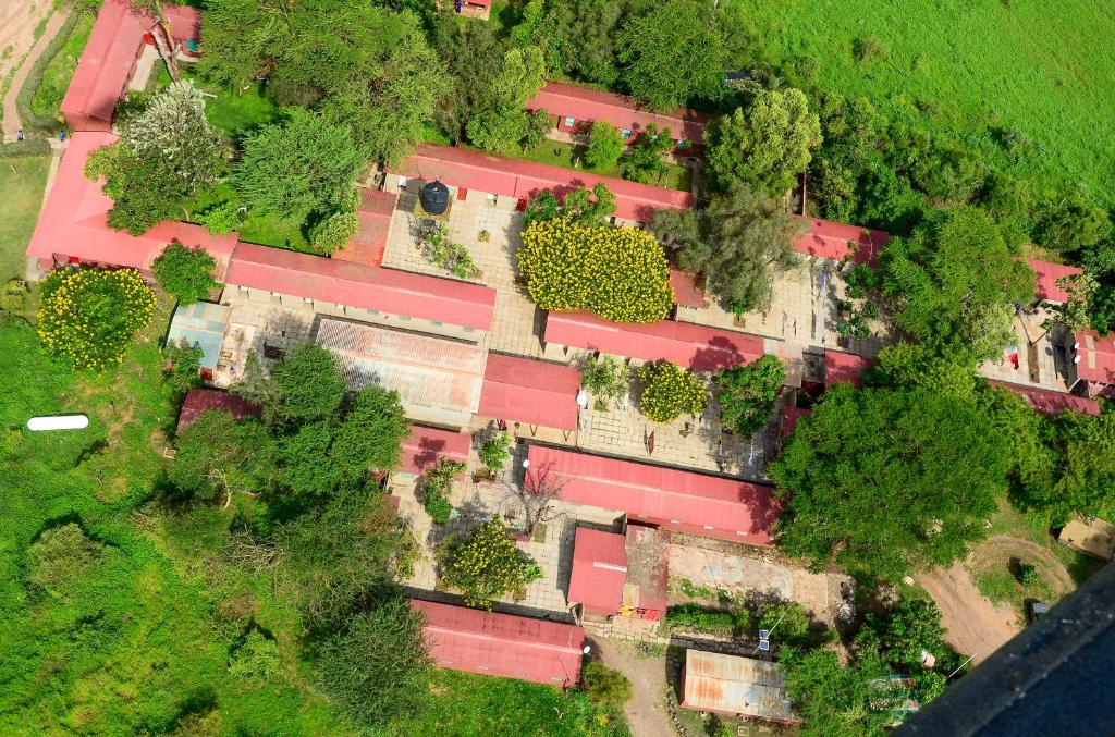 Amboseli Serena Safari Lodge