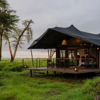 Soroi Amboseli Luxury Camp