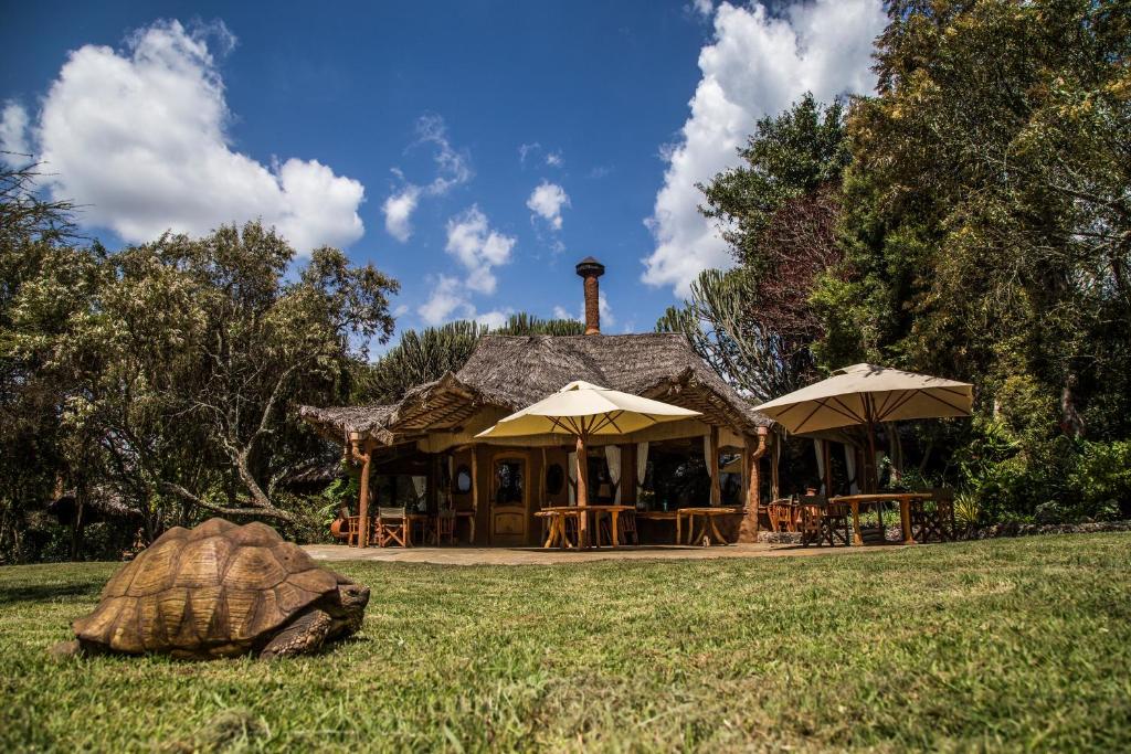 Chui Lodge Naivasha