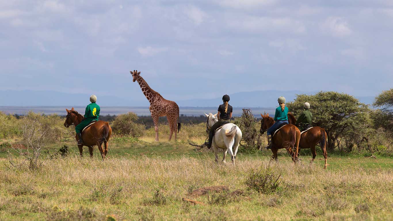 Luxury Safari in Losaiba Wildlife Conservancy