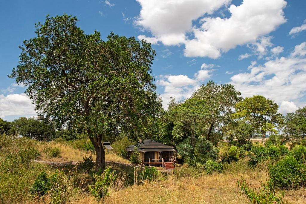 Elewana Sand River Camp Mara Luxury Safari From Nairobi