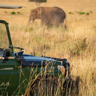 Luxury game drive safari in Masai Mara Kenya