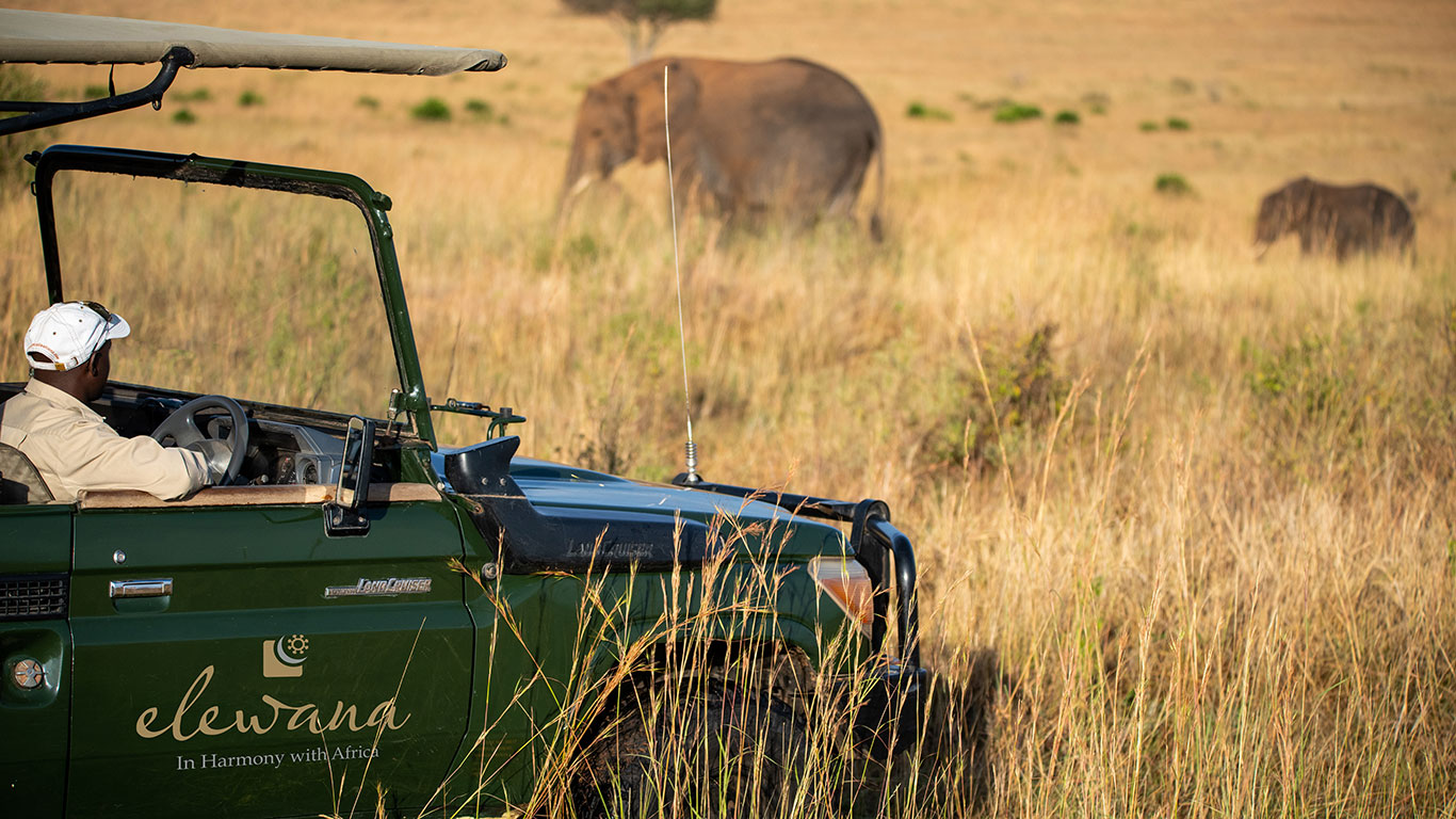 Luxury game drive safari in Masai Mara Kenya