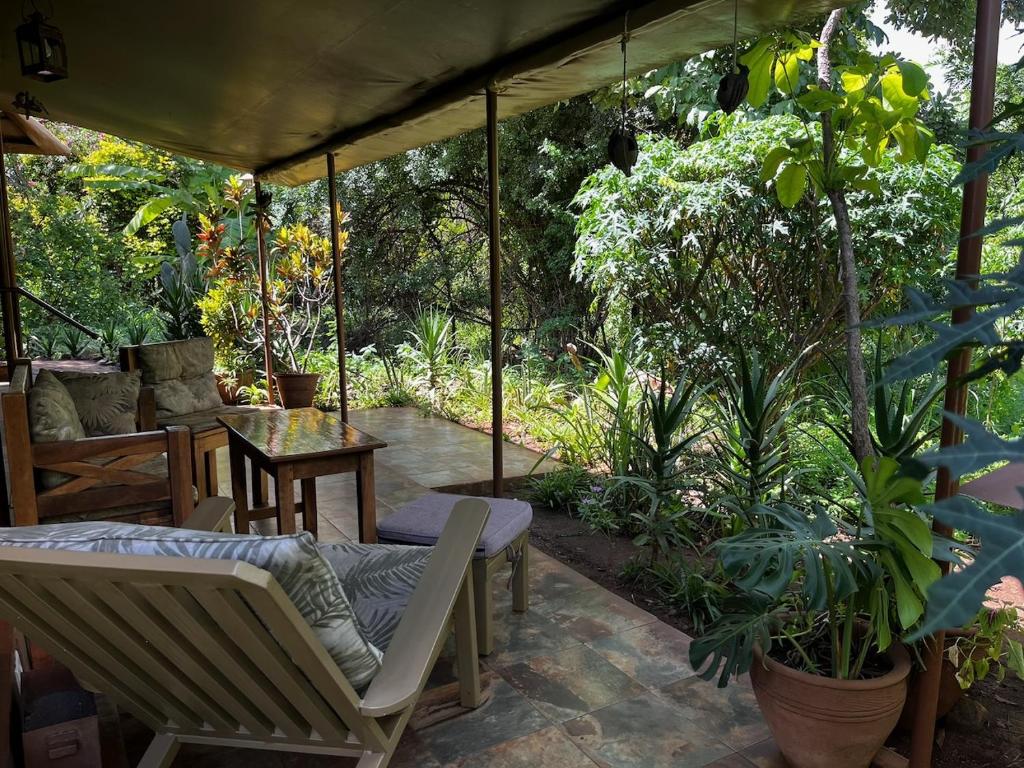 Ikweta Safari Camp Meru Bush View