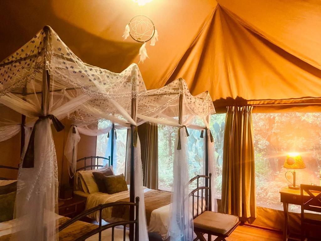 Ikweta Safari Camp Meru Twin Tent