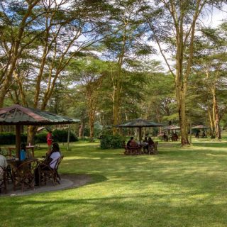 Lake Naivasha Crescent Camp