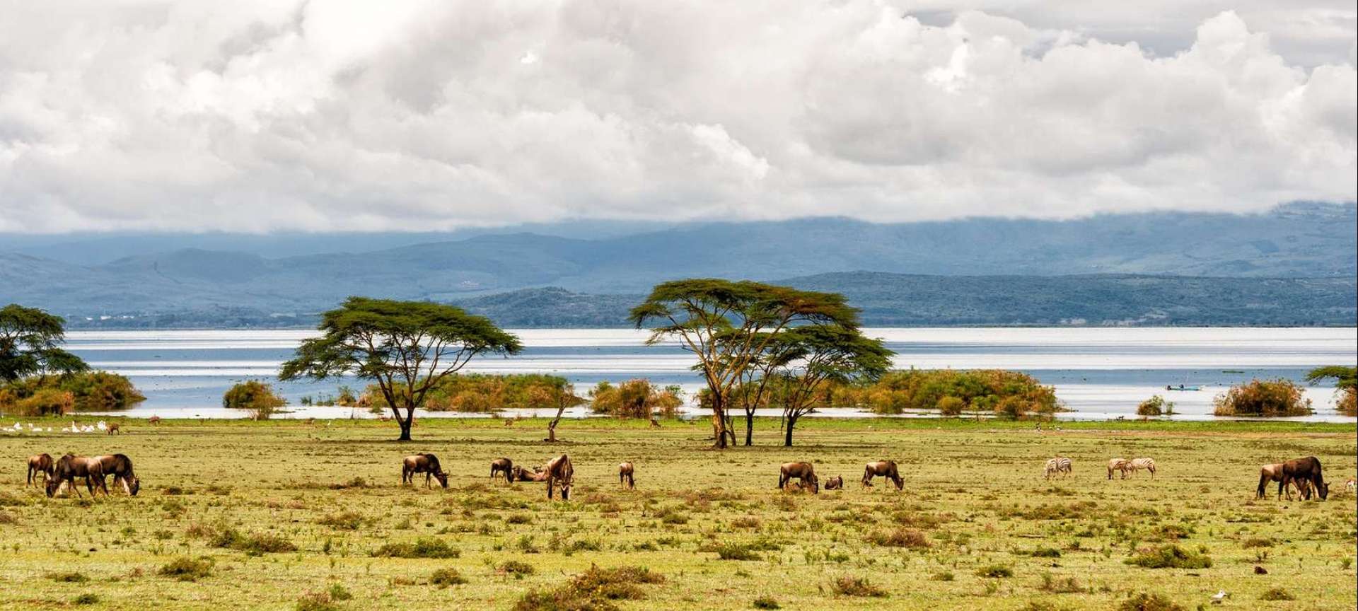 Lake Nakuru Wildlife Safari Trip From Nairobi
