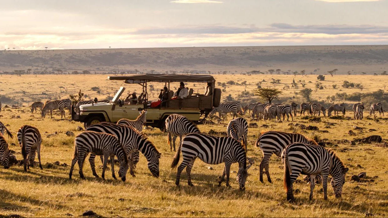 Masai Mara Game Drive Kenya Safari