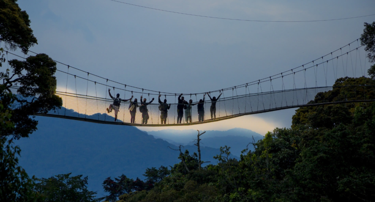 Nyungwe Forest National Park Safari Rwanda
