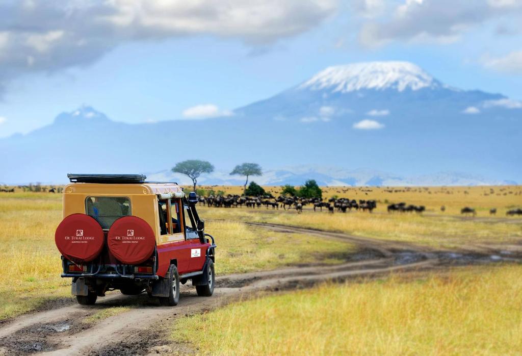 Ol Tukai Lodge Amboseli Kenya Safari