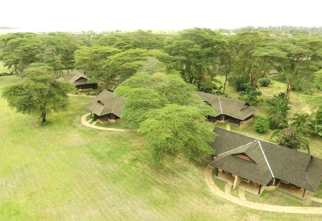 Ol Tukai Lodge Amboseli Kenya