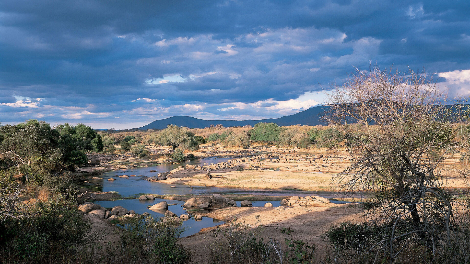 Ruaha River Ruaha national park Tanzania