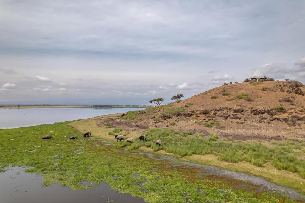 Sentrim Amboseli Mount Kilimanjaro Safari