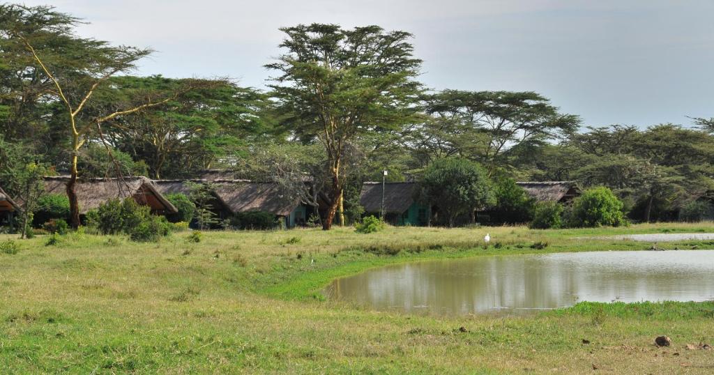 Sweetwaters Serena Camp Ol Pejeta Waterhole View