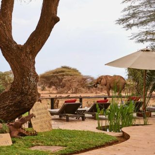 Tawi Lodge Amboseli Kenya