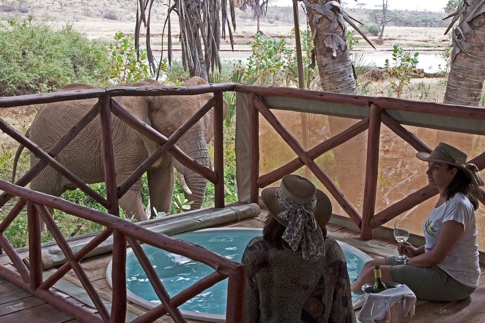 Elephant Bedroom Camp Samburu