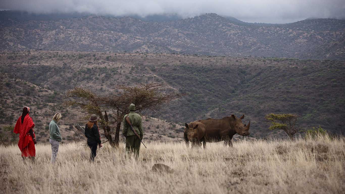 Elewana Lewa Safari Camp Bush walk