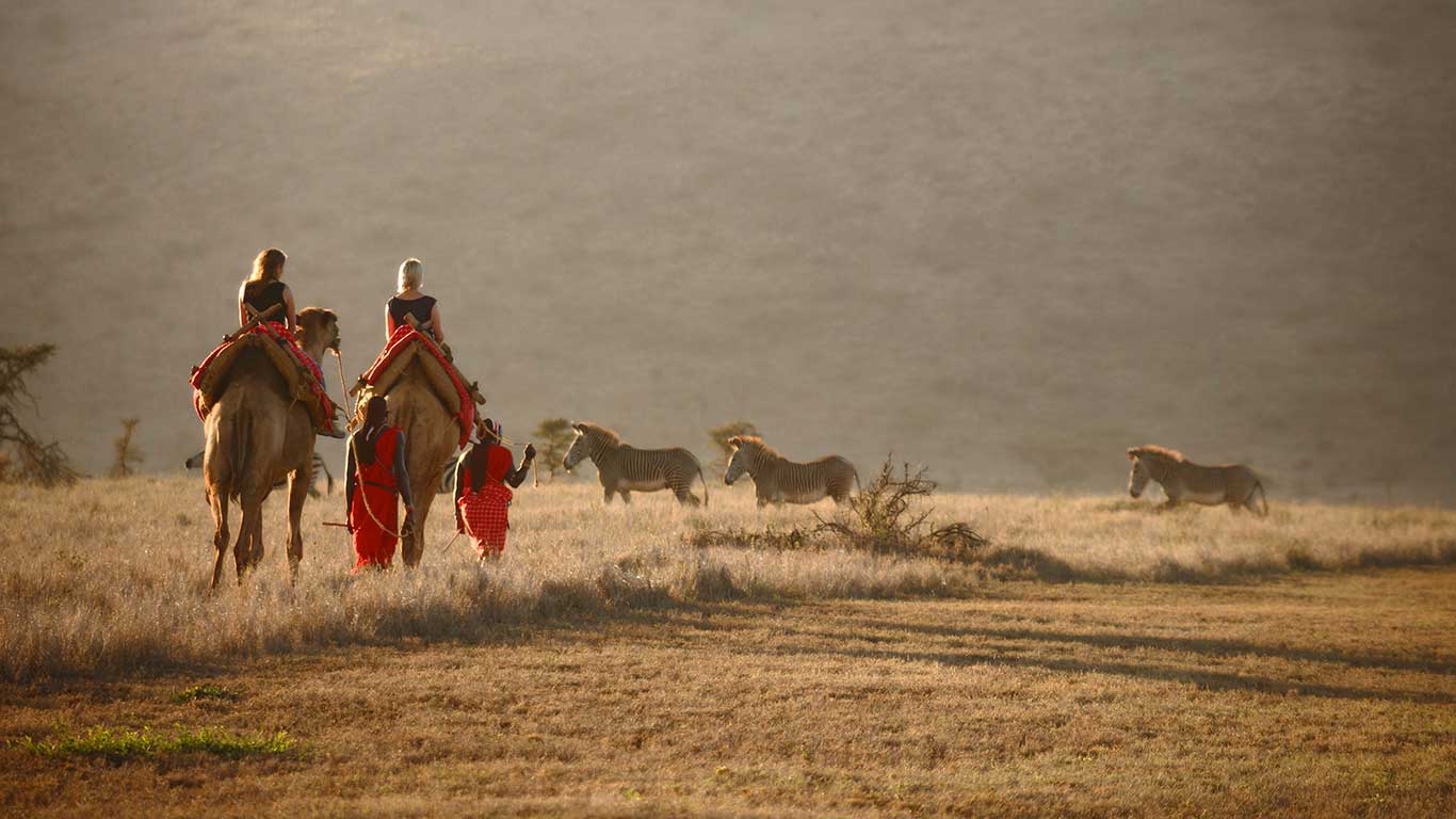 Elewana Lewa Safari Camp Camel Riding