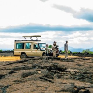 Game drives Kilaguni Serena Safari Lodge Tsavo West