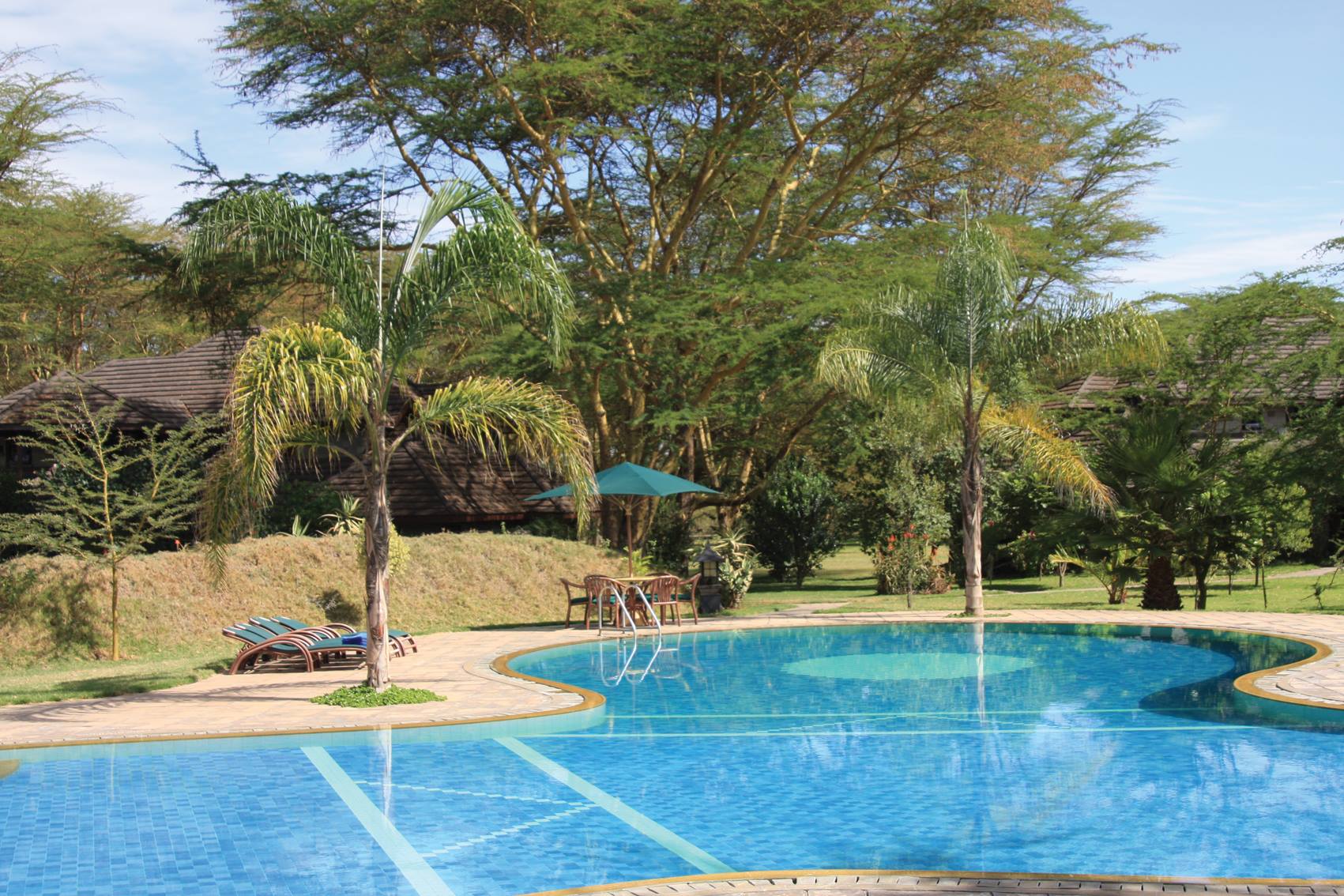 Lake Naivasha Simba Lodge Pool