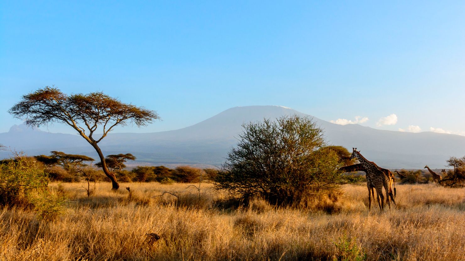 Mount Kilimanjaro views Amboseli national park Kenya