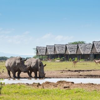 Nairobi to Ol Pejeta Luxury Safari Sweetwaters Serena Camp