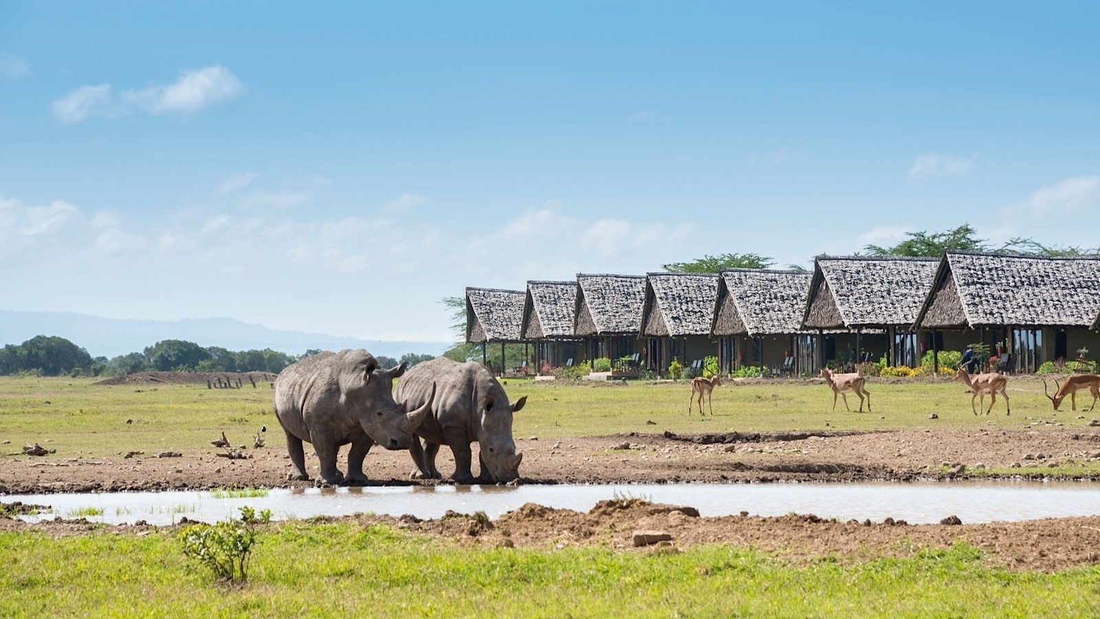 Nairobi to Ol Pejeta Luxury Safari Sweetwaters Serena Camp