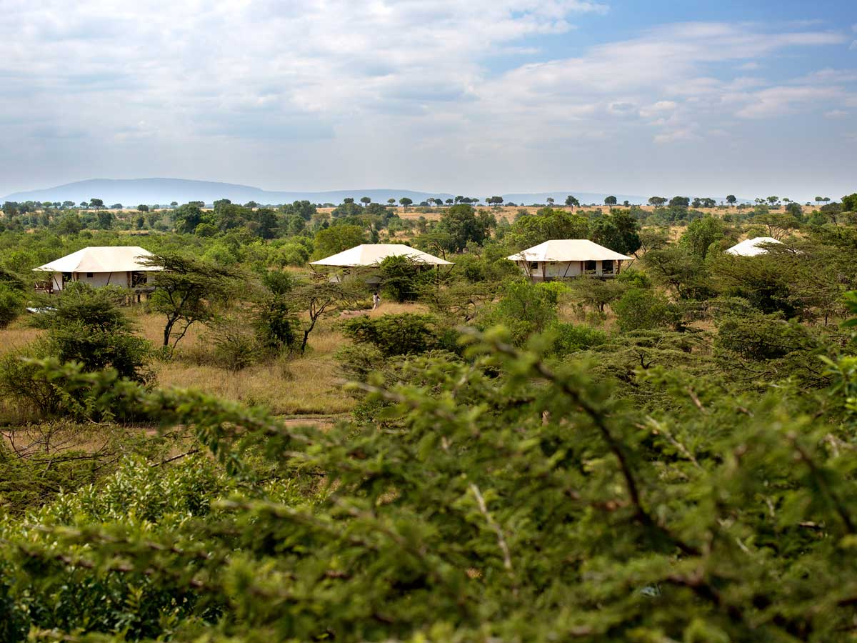 neptune mara rianta luxury camp