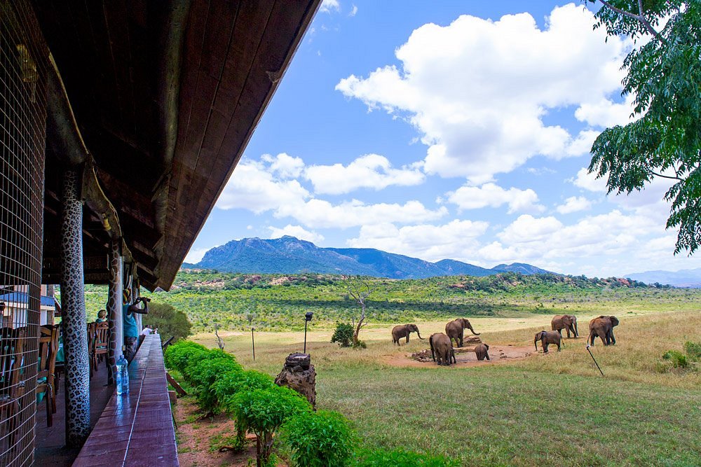 Ngulia safari lodge Tsavo west Kenya