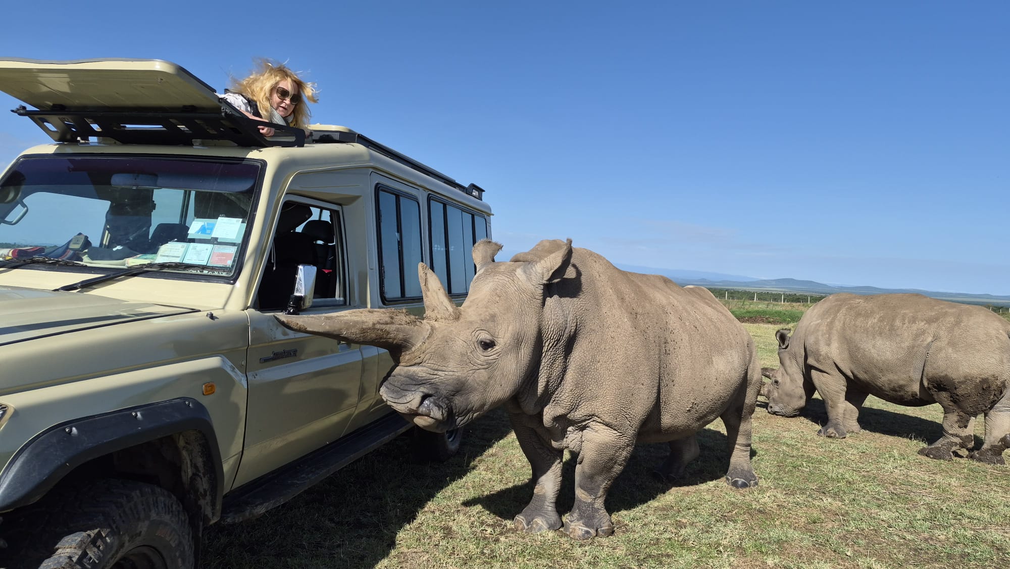ol pejeta luxury safari with nova afrika kenya safaris