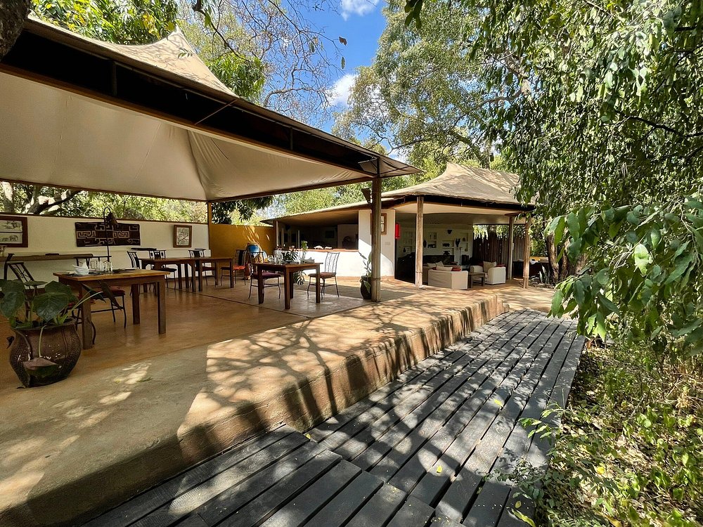 Rhino River Camp Meru Main Area