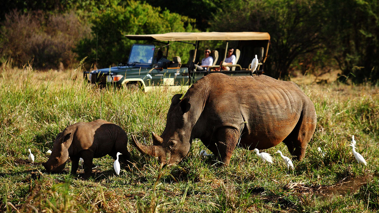 Luxury safari to rhino sanctuary Meru national park Kenya
