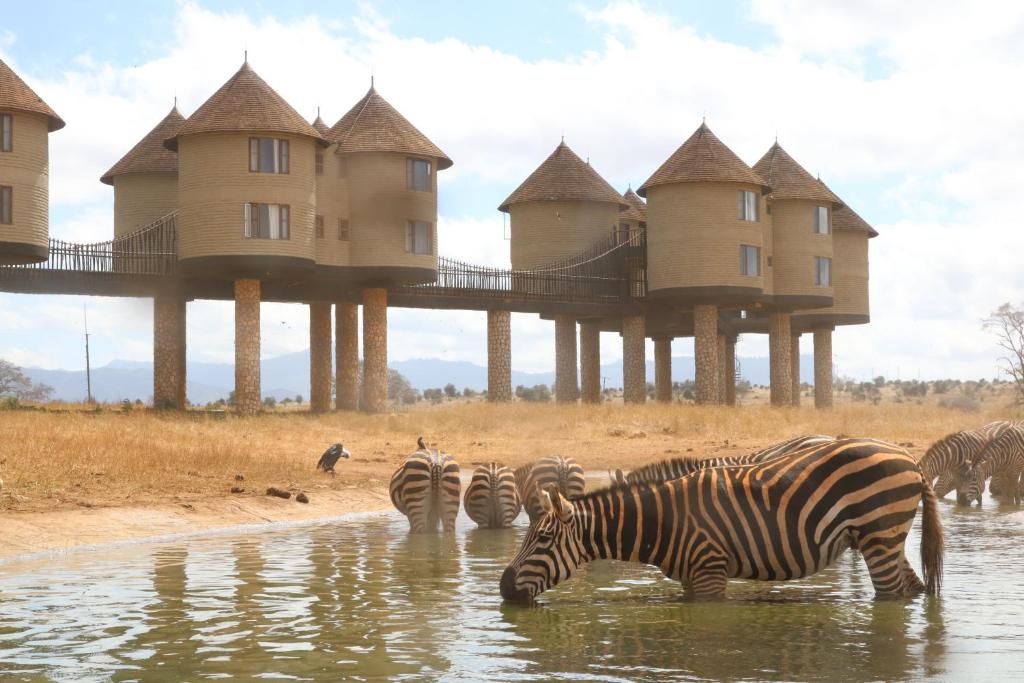 safari from Diani beach Mombasa to Salt Lick Lodge
