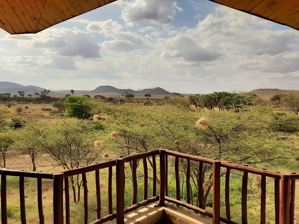 Samburu Simba Lodge River View