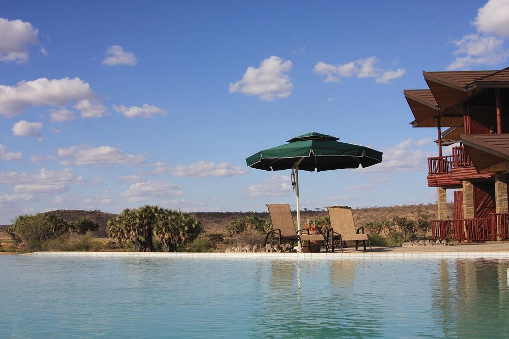 Samburu Simba Lodge Swimming Pool