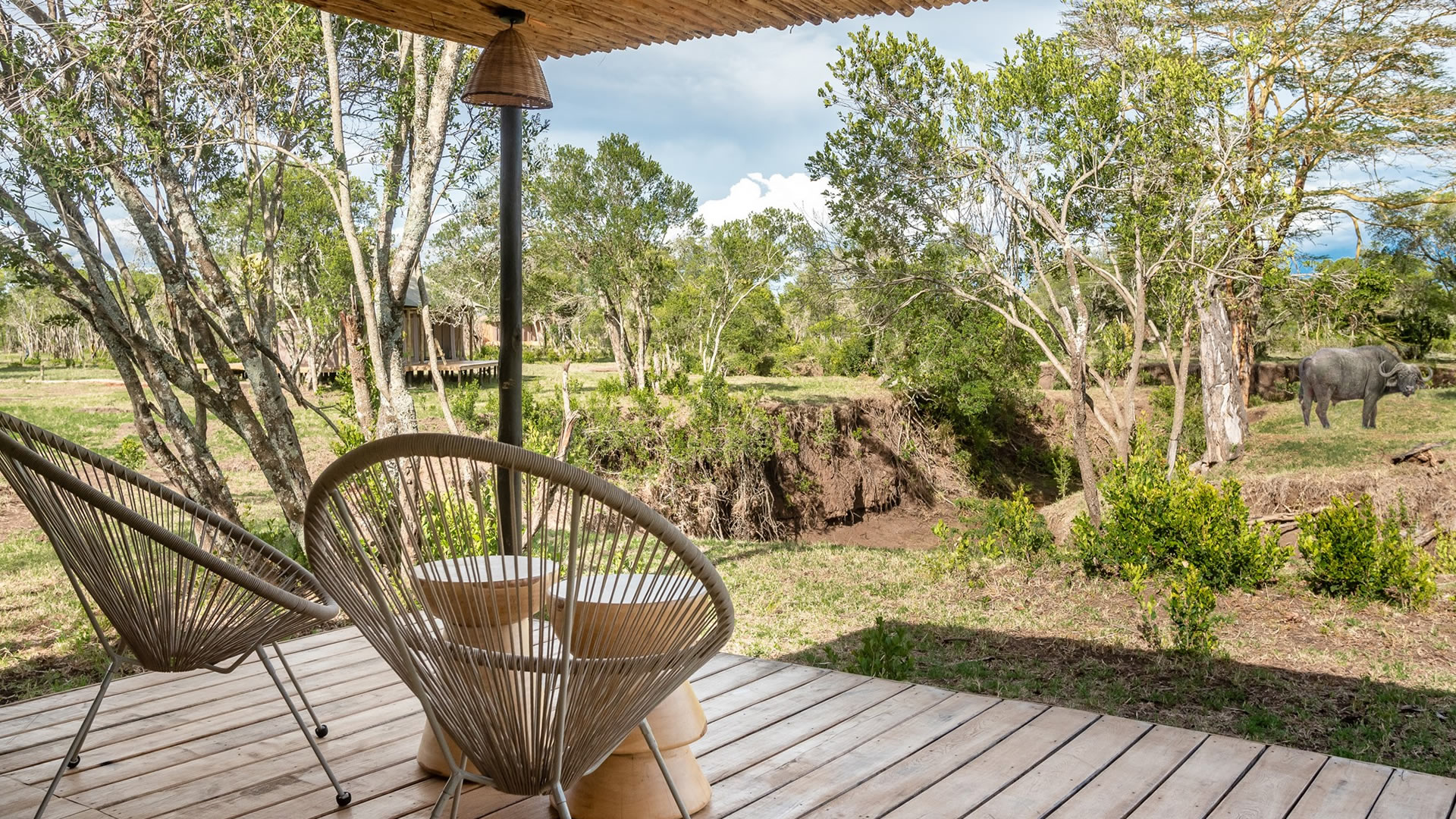 The River Camp Ol Pejeta Wildlife Views From Tent