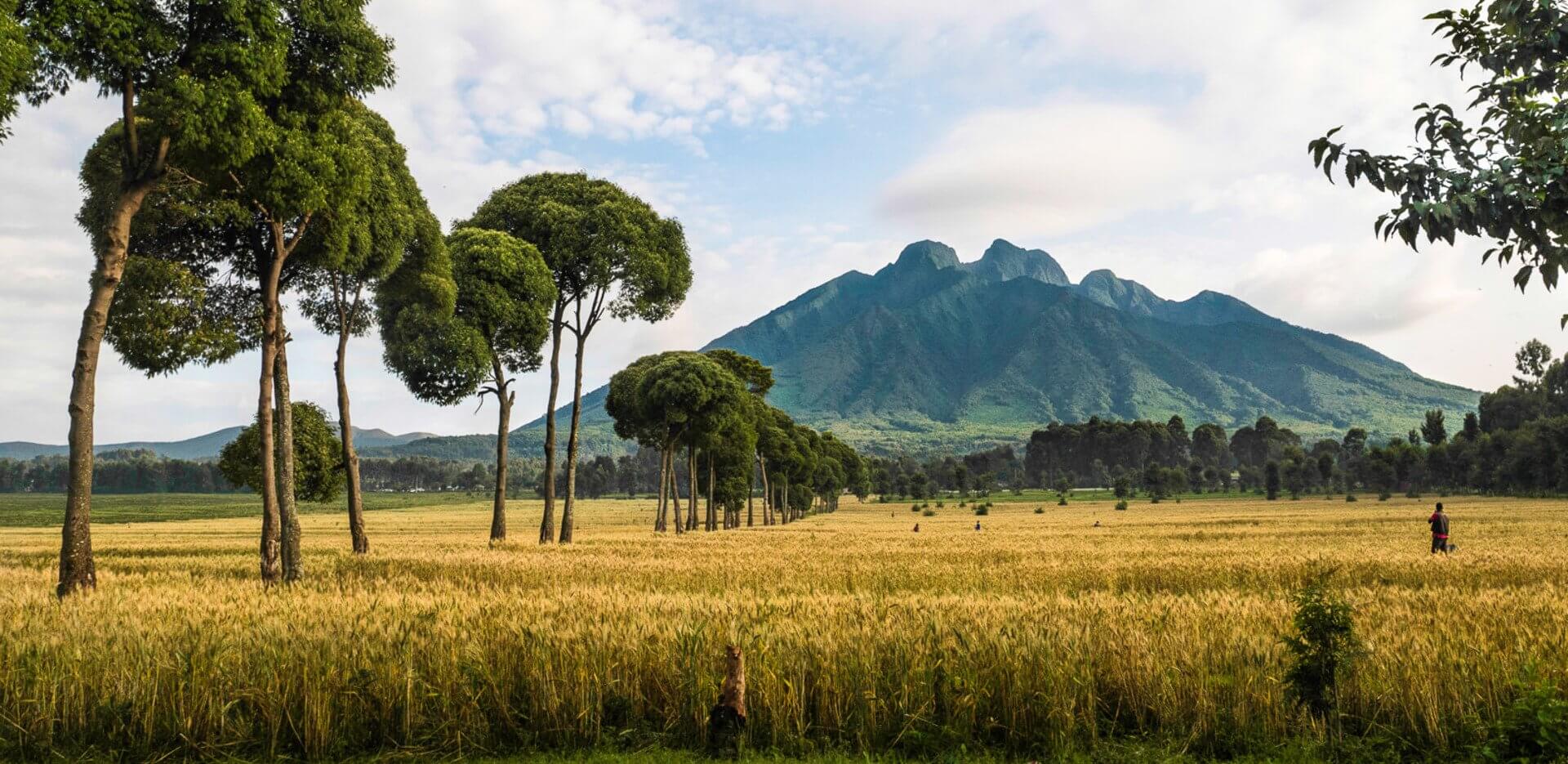 Volcanoes National Park Safari Rwanda