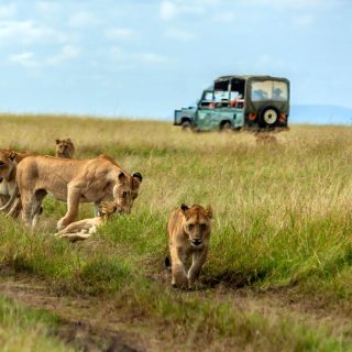 Kenya Big Five Safari Masai Mara