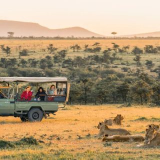 Game drive in Serengeti Tanzania