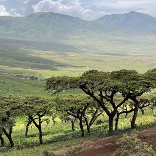 Ngorongoro View