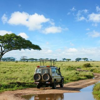 Serengeti Family jeep safari Tanzania